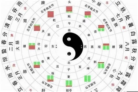 八字的神煞|八字神煞详解